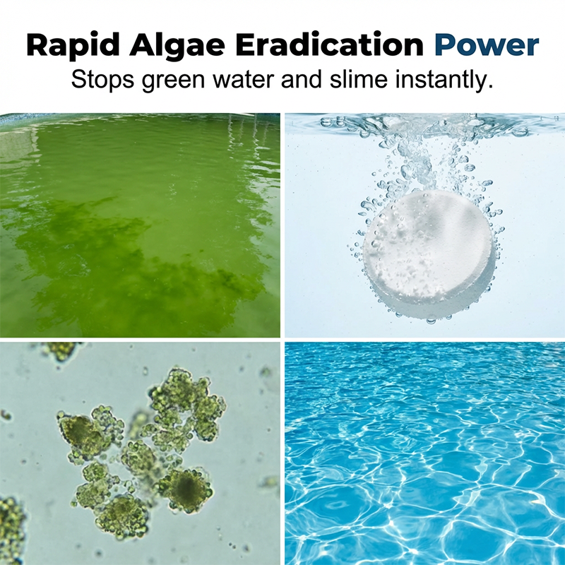Professional Grade Pool Sanitizer Tablets for Algae Control